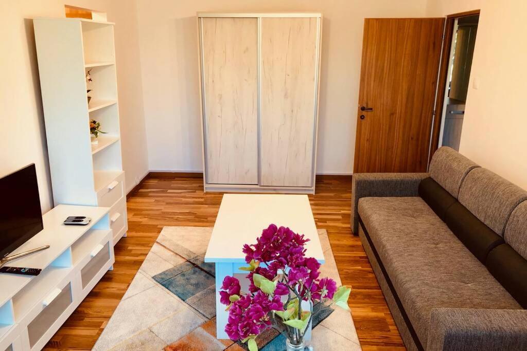 Joy City Stay Iasi 15 ทิมิชัวรา ภายนอก รูปภาพ